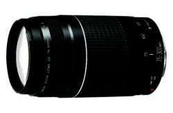 Canon 75-300mm f/4-5.6 DSLR Zoom Lens